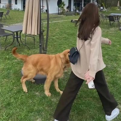 少爷